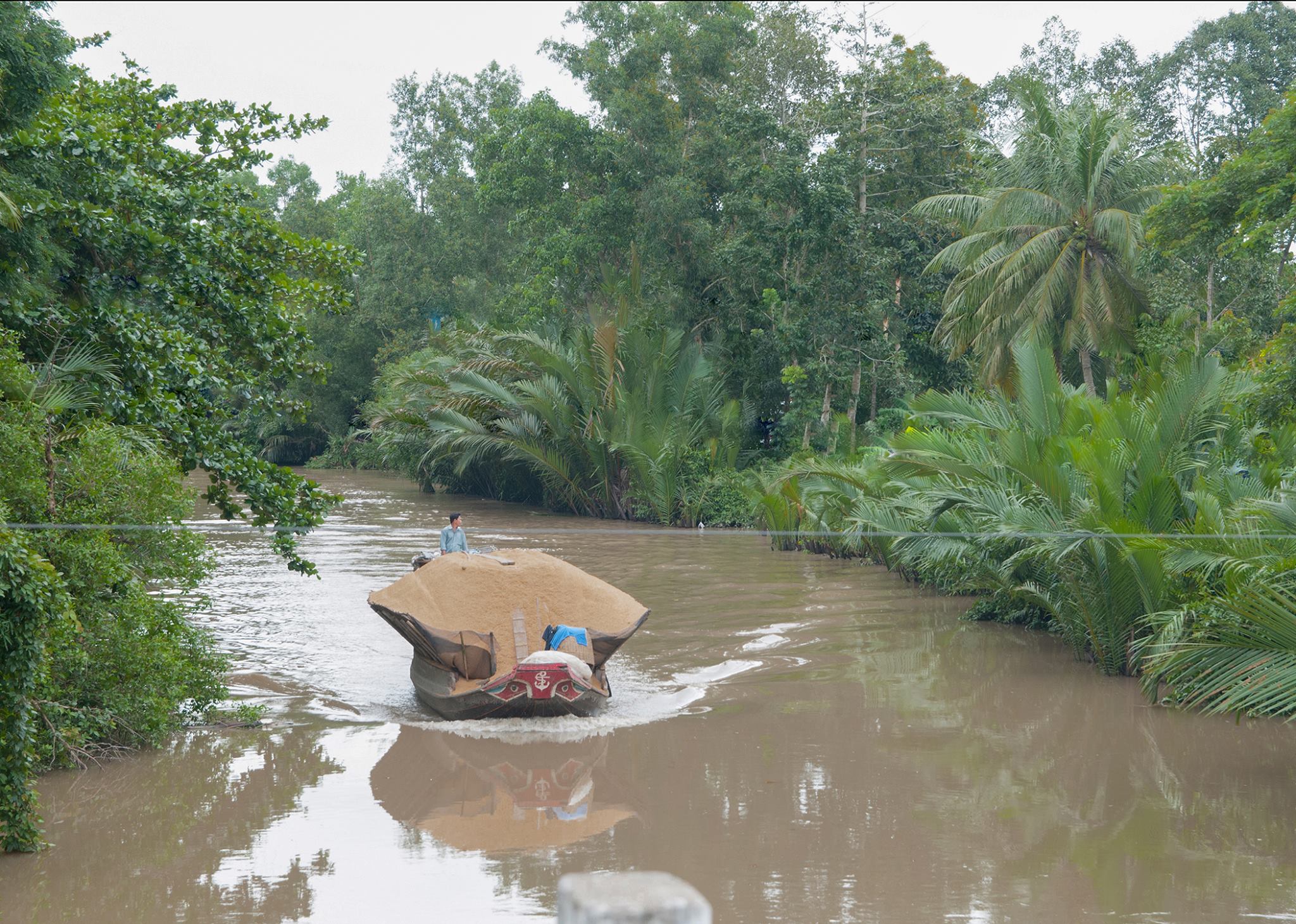 Rice boat on the water