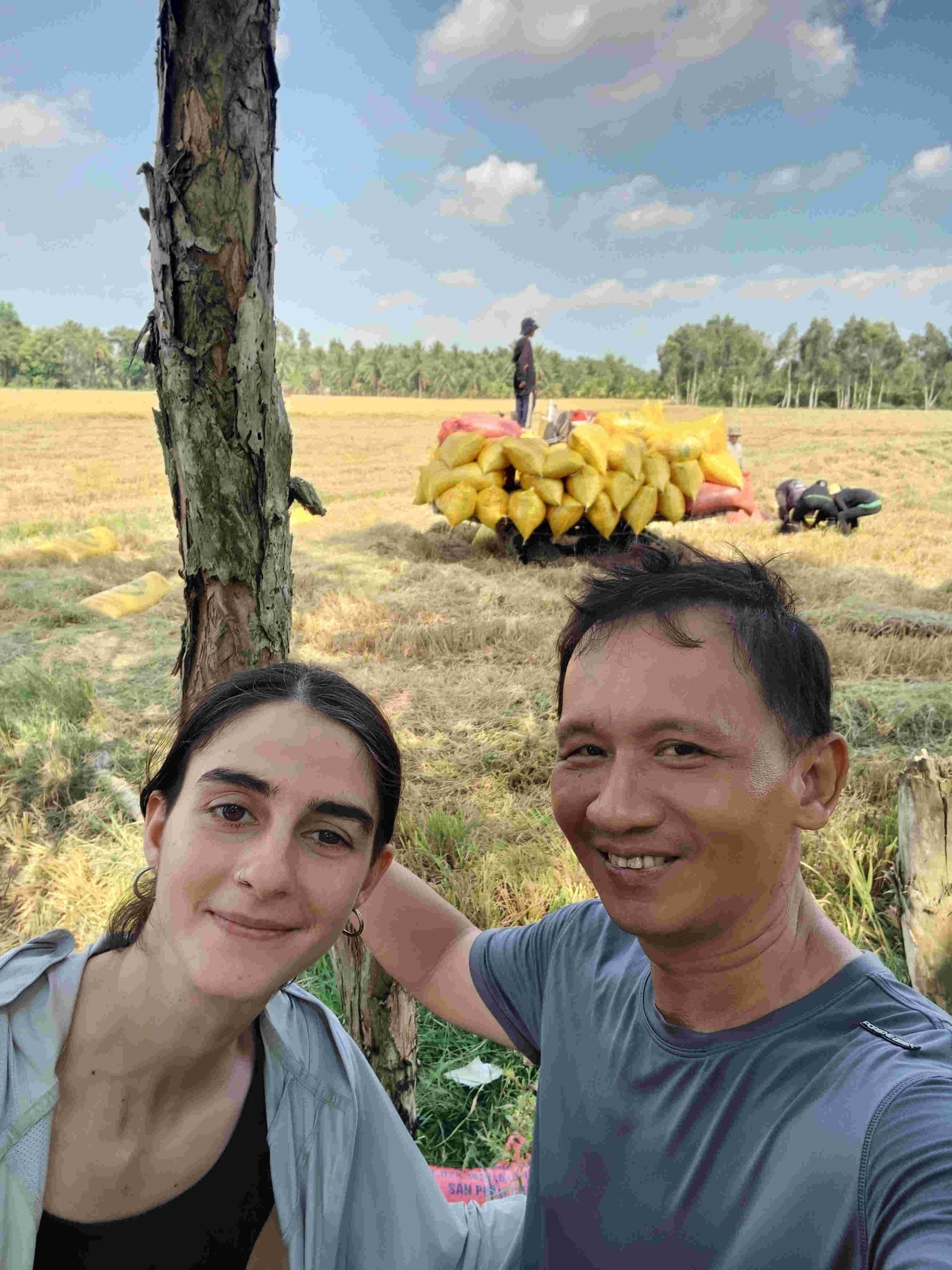 Rice planting