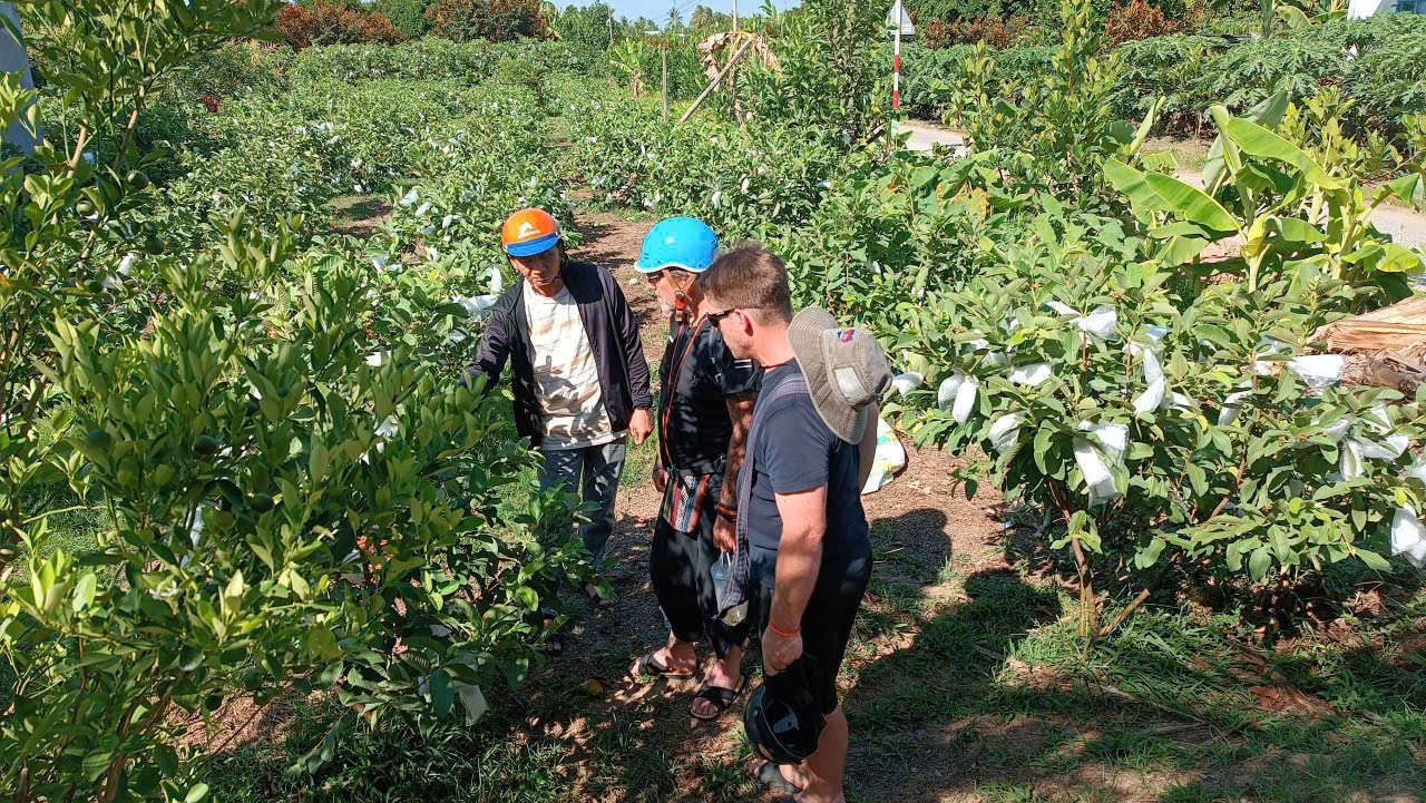 Local farm immersion